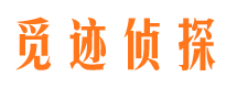 石峰市侦探调查公司